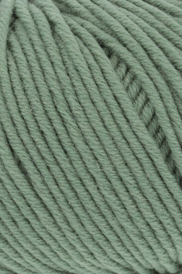 Merino Plus