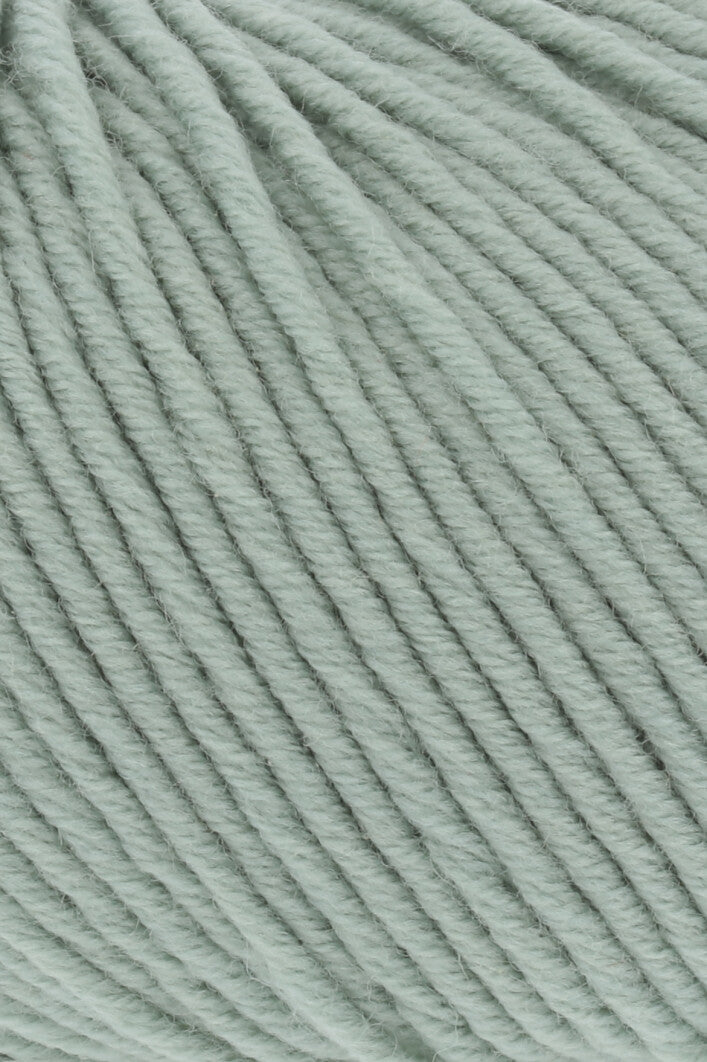 Merino Plus
