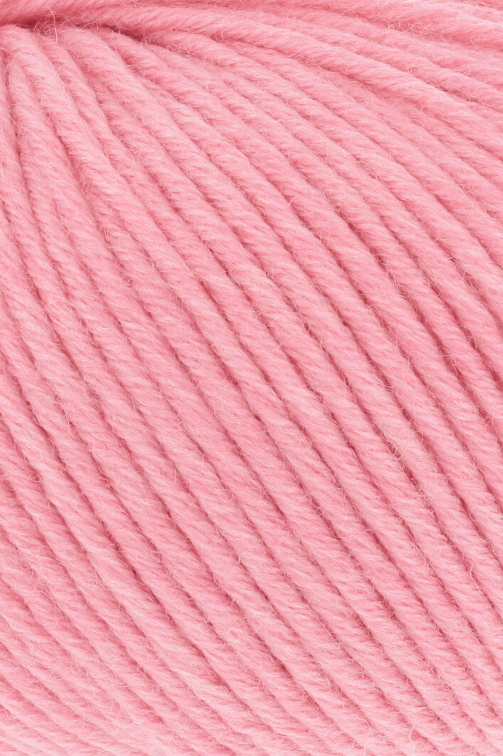Merino Plus