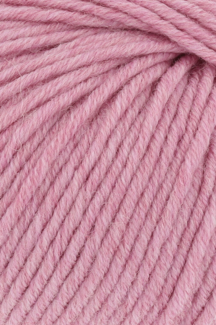 Merino Plus