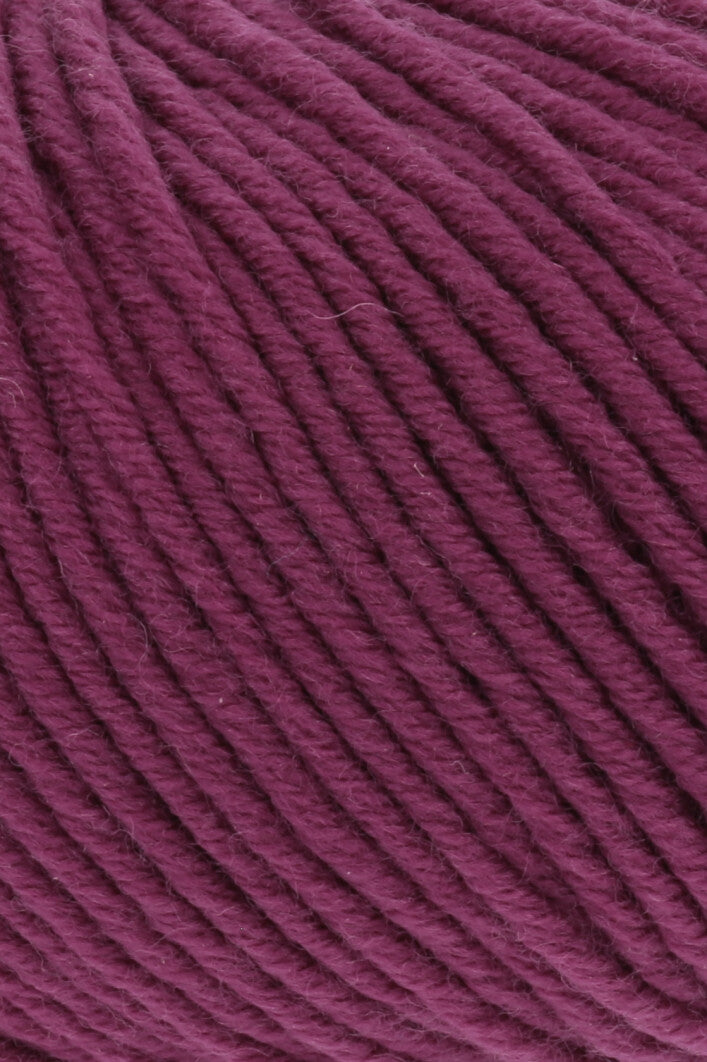 Merino Plus