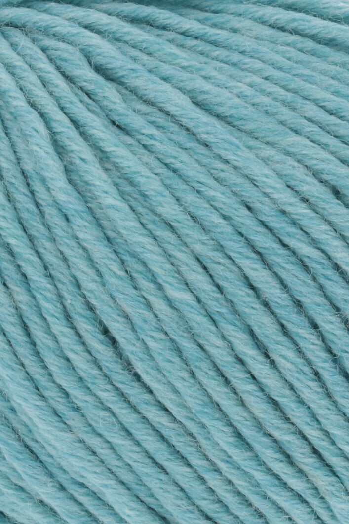 Merino Plus