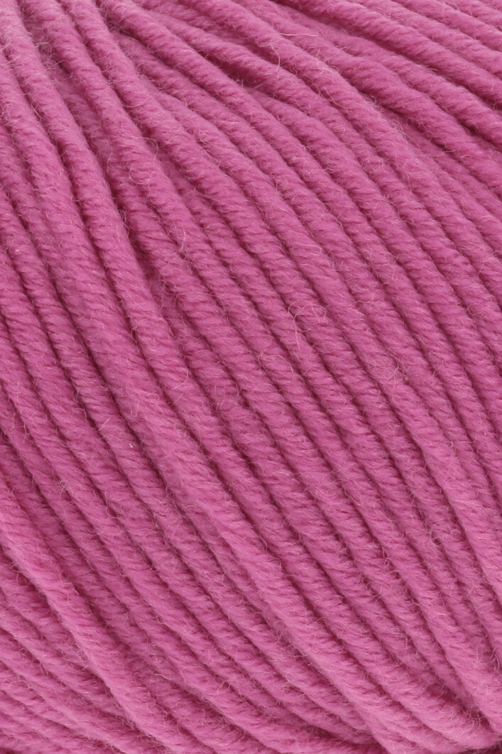 Merino Plus