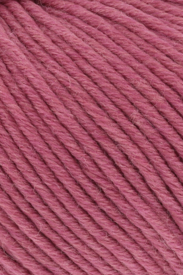Merino Plus