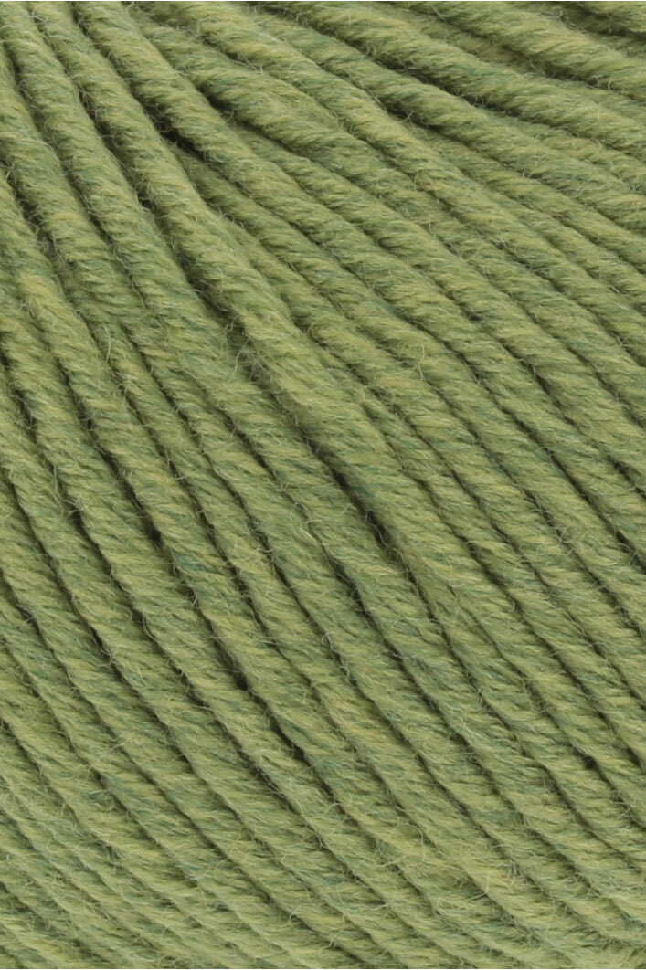 Merino Plus