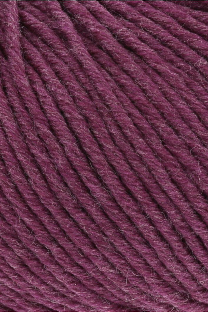 Merino Plus