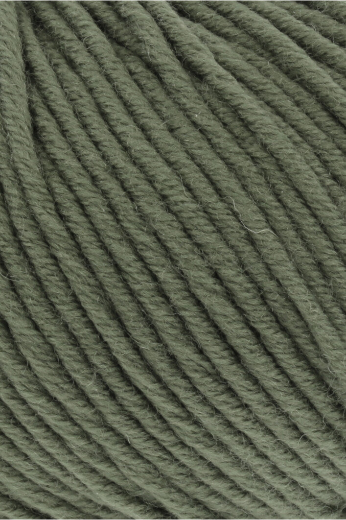 Merino Plus