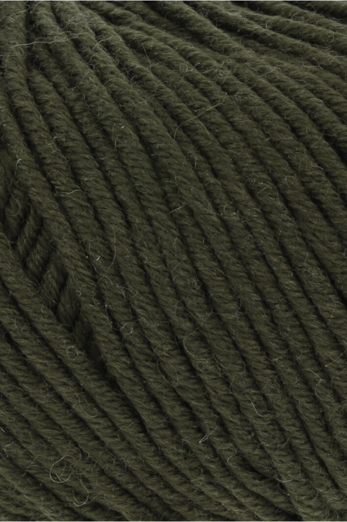 Merino Plus