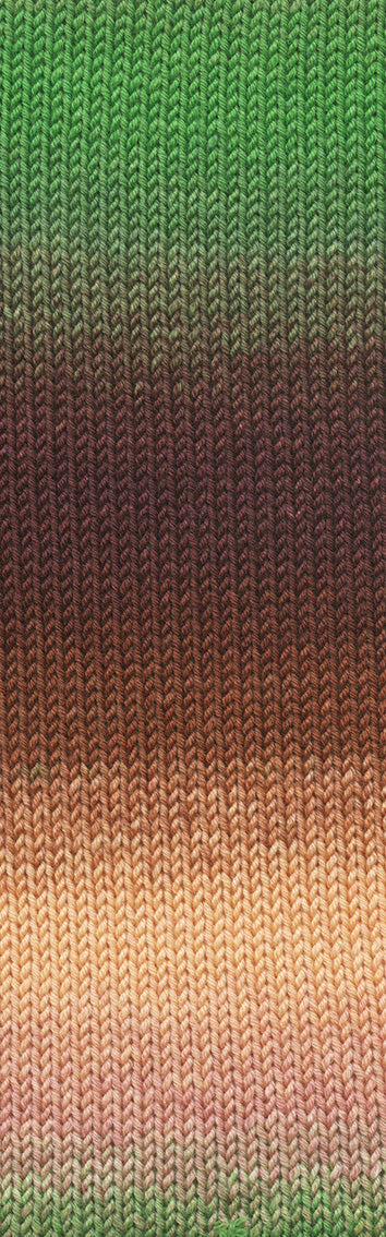 LANGYARNS MERINO 150 Dégradé