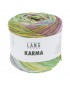 Karma - couleur 5 pelote