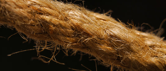 brown and black hair on black textile