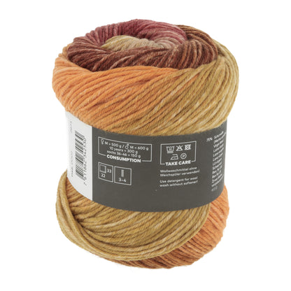 1146_0002_LANGYARNS_Move6Ply_4_Print.jpg