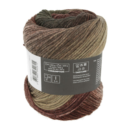 1146_0006_LANGYARNS_Move6Ply_4_Print.jpg