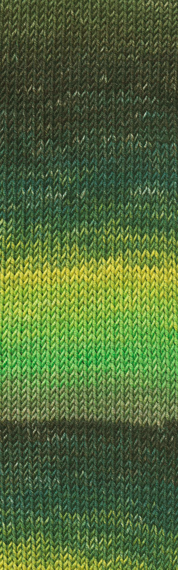 Laine dégradée Merino 120