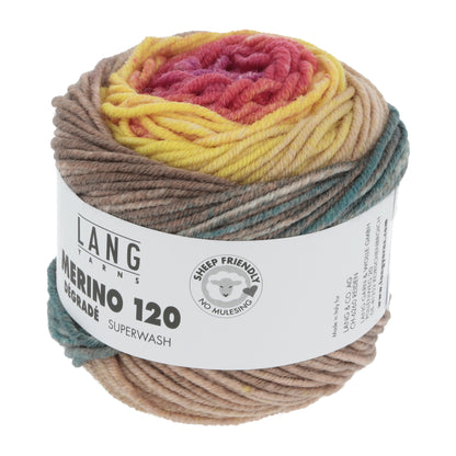 Laine dégradée Merino 120