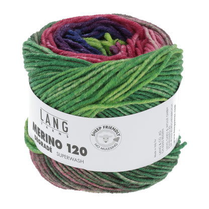Laine dégradée Merino 120