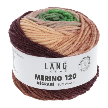 Laine dégradée Merino 120