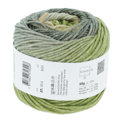 Laine dégradée Merino 120