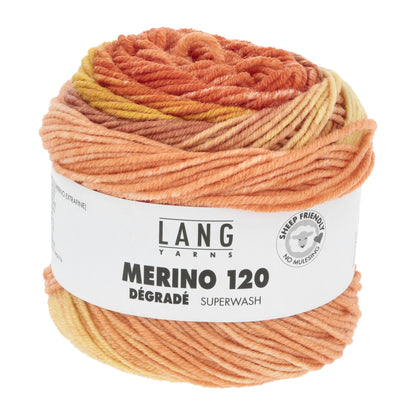 Laine dégradée Merino 120
