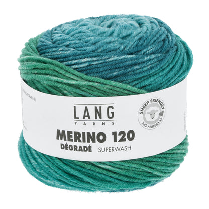Laine dégradée Merino 120