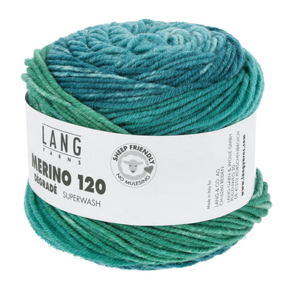 Laine dégradée Merino 120