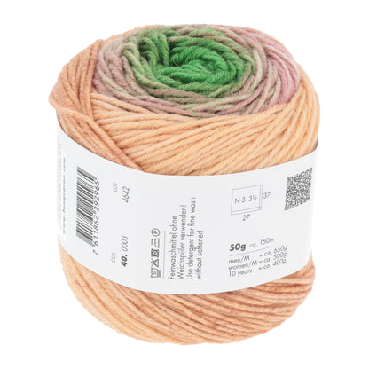 LANGYARNS MERINO 150 Dégradé