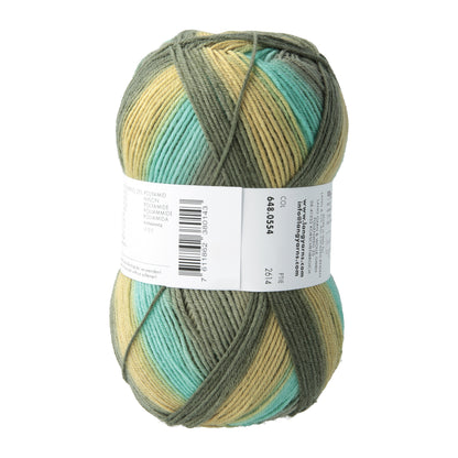648_0554_LANGYARNS_TwinSoxxMerino4Ply_4_Print.jpg