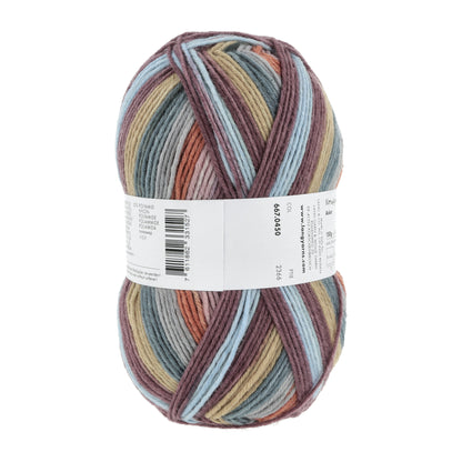 667_0450_LANGYARNS_TwinSoxx8Ply_4_Print.jpg