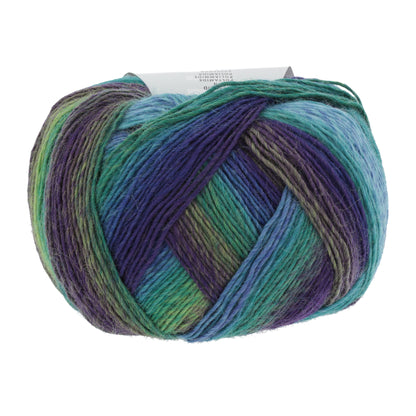 85_0118_LANGYARNS_JawollMagicDegrade_4_Print.jpg