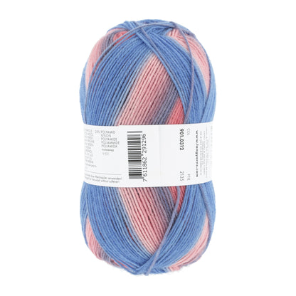 901_0312_LANGYARNS_SuperSoxxColor4Ply_4_Print.jpg
