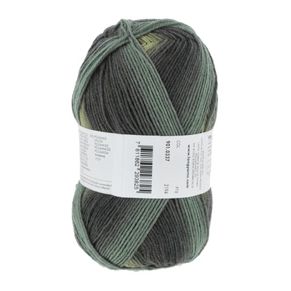 901_0337_LANGYARNS_SuperSoxxColor4Ply_4_Print.jpg