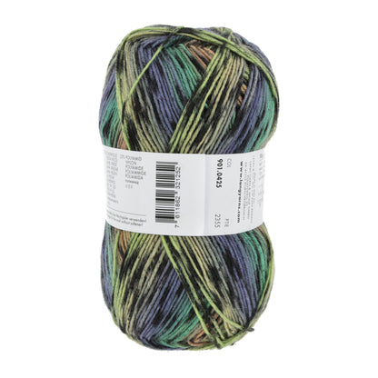 901_0425_LANGYARNS_SuperSoxxColor4Ply_4_Print.jpg