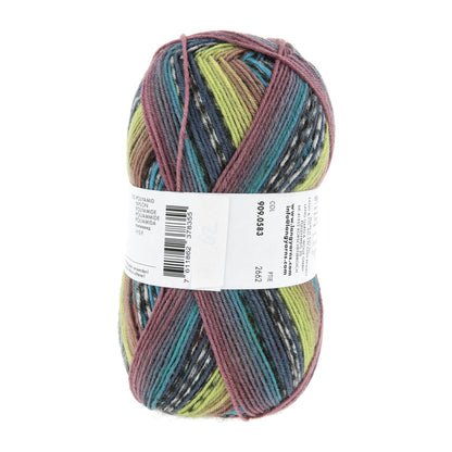 909_0583_LANGYARNS_TwinSoxx4Ply_4_Print.jpg