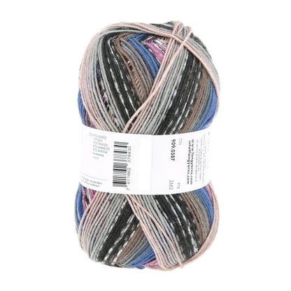 909_0587_LANGYARNS_TwinSoxx4Ply_4_Print.jpg